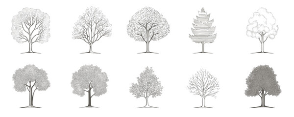 Flat linear tree icons set depicting diverse detailed silhouettes.