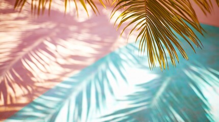 Palm leaves cast shadows on pink and turquoise background.