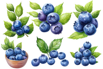 Fresh blueberries with green leaves arranged in various compositions highlighting their vibrant colors and natural beauty