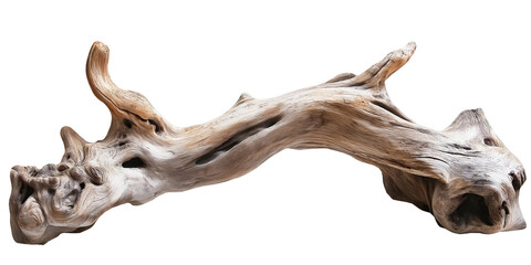 Fototapeta premium Natural driftwood with unique texture and weathered appearance, isolated on a transparent or white background.