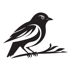vector illustration of a bird