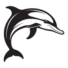 dolphin vector illustration