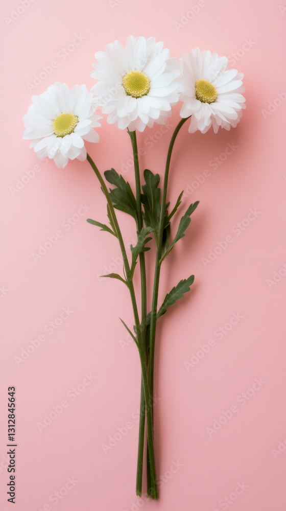 Poster minimalist composition featuring a bouquet of three white daisies on a vibrant pink backdrop, creati