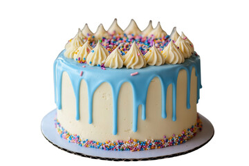Delicious decorative cake with blue icing and colorful sprinkles for celebrations