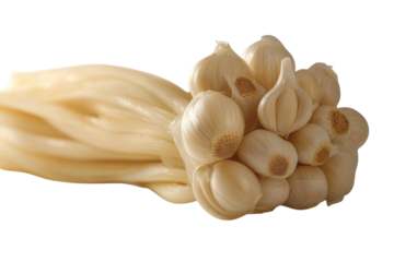 Garlic bulbs and cloves arranged in a single bunch with smooth, elongated stems displayed on a neutral background