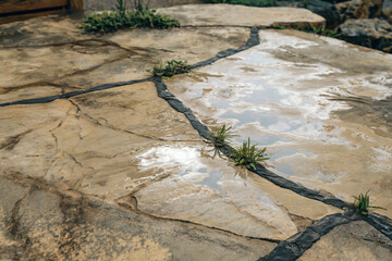 Wet stone pathway with patches of grass after light rain in a natural setting