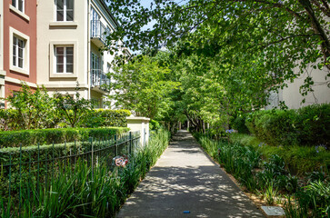 Fototapety na wymiar - Fototapeta24.pl