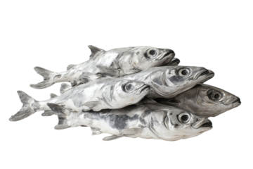 Realistic sculpture of fish stacked closely together, showcasing intricate details and textures in an artistic display