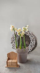 Background for spring events or holidays with double daffodils and calendar with empty edges