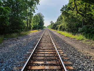 Obraz premium Railway tracks extending to the horizon, running in between the green forest.