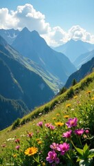 Steep slopes, wildflowers, distant mountain range, hill, photography