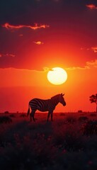 A lone zebra silhouetted against fiery sunset over African plains , wildlife, dusk