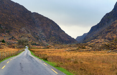 A scenic road through golden fields in the mountains 