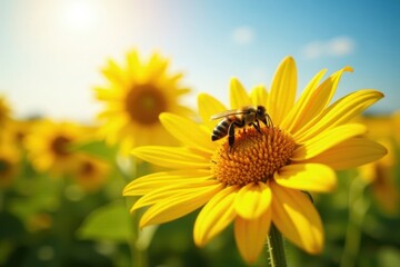 A honeybee on a bright sunflower, collecting pollen and nectar in a sun-drenched field , landscape, insect, sun