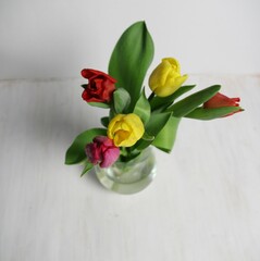 Festive Tulip Arrangement in Clear Glass – Red, Purple, Yellow Flowers for Joyful Home or Office Decor on white background
