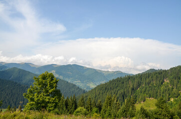 Peaceful mountain scene featuring green forests, rolling hills, and a clear blue sky, perfect for concepts of tranquility and natural beauty. Carpathian Mountains, Ukraine