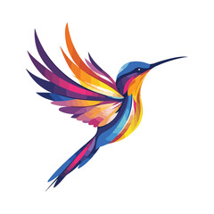 hummingbird colourful vector  © Nowrose