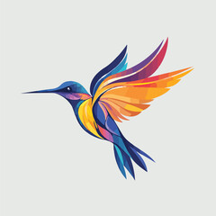 hummingbird colourful vector 
