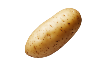 Large potato with many small bumps on it, isolated