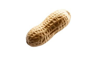 Peanut is shown in a close up, isolated