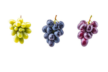 Fototapeta premium Three bunches of grapes are shown, one of which is green, one is purple, isolated