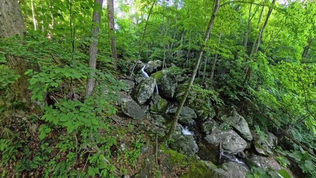 Cedar Run Flows Through Pile of Rocks in Shenandoah National Park