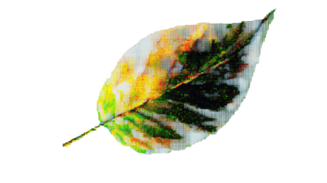 Colorful glitched leaf showing pixel sorting effect on transparent background - Powered by Adobe