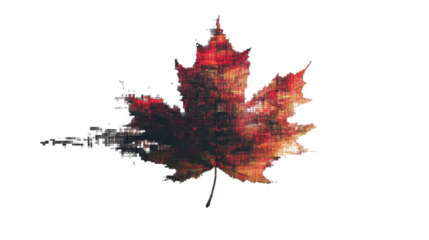 Pixelated dissolving maple leaf on transparent background