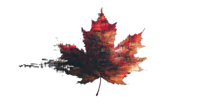 Pixelated dissolving maple leaf on transparent background