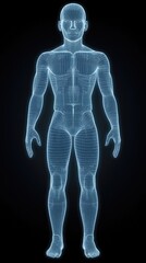 3D rendered wireframe model of male body, digital, medicine, science, technology background for anatomy study