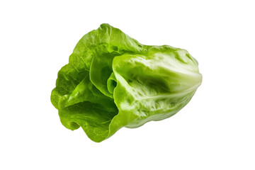 Green leafy vegetable with a pointed tip, isolated