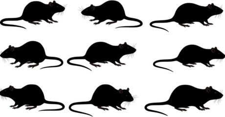 Fototapeta premium vector set, Silhouettes of rats 