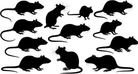 vector set, Silhouettes of rats
