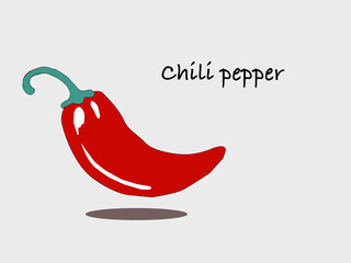 Red chili pepper. Vibrant red chili pepper illustration. Hand drawn red chili pepper. Red hot chili pepper. Red pepper in sketch style . Realistic hand drawn drawing of a whole ripe red chili pepper.

