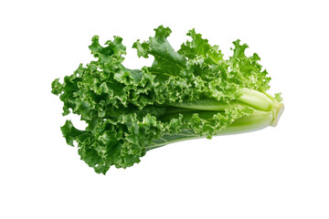 Bunch of green lettuce with a white background, isolated