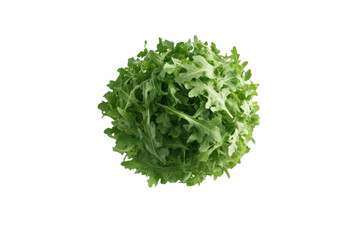 Obraz premium Green leafy vegetable with a lot of green leaves, isolated