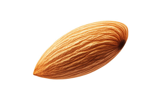 Nut is shown in a close up, isolated