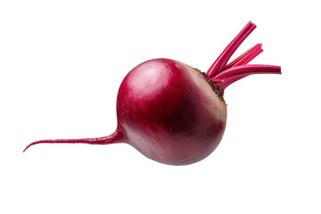 Red vegetable with a long stem, isolated