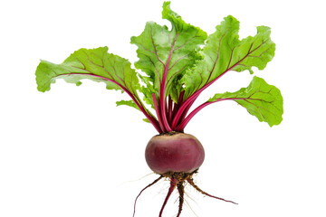 Large purple radish with a green stem, isolated