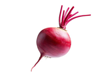 Red vegetable with a purple stem, isolated