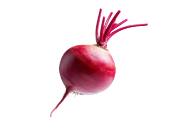 Red vegetable with a purple stem, isolated