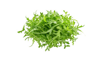 Bunch of green leaves of a plant, isolated