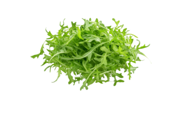 Bunch of green leaves of a plant, isolated