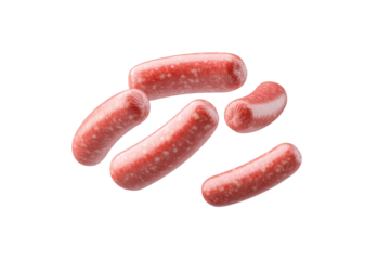 Close up of five hot dogs with a white background, isolated