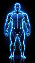 Digital illustration of a muscular man, front view, studio shot.  Possible use for fitness or health related materials