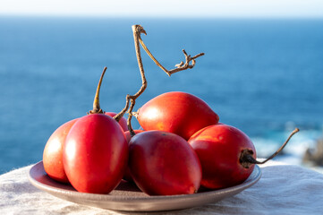 Eco farming in Spain, organic ripe red tamarillo tomato tree tropical fruits from Tenerife island...