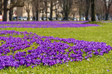 Blaues Band Düsseldorf
