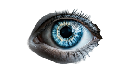 Human blue eye showing detailed iris and pupil on transparent background