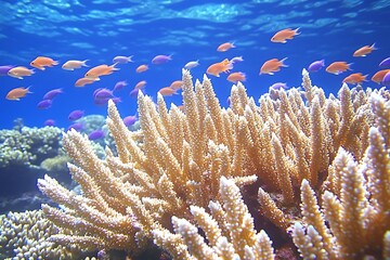 Vibrant Coral Reef with Colorful Fish Under the Ocean