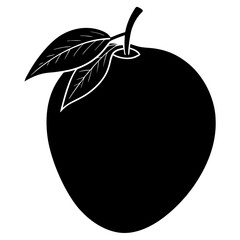 vector illustration of a Mango